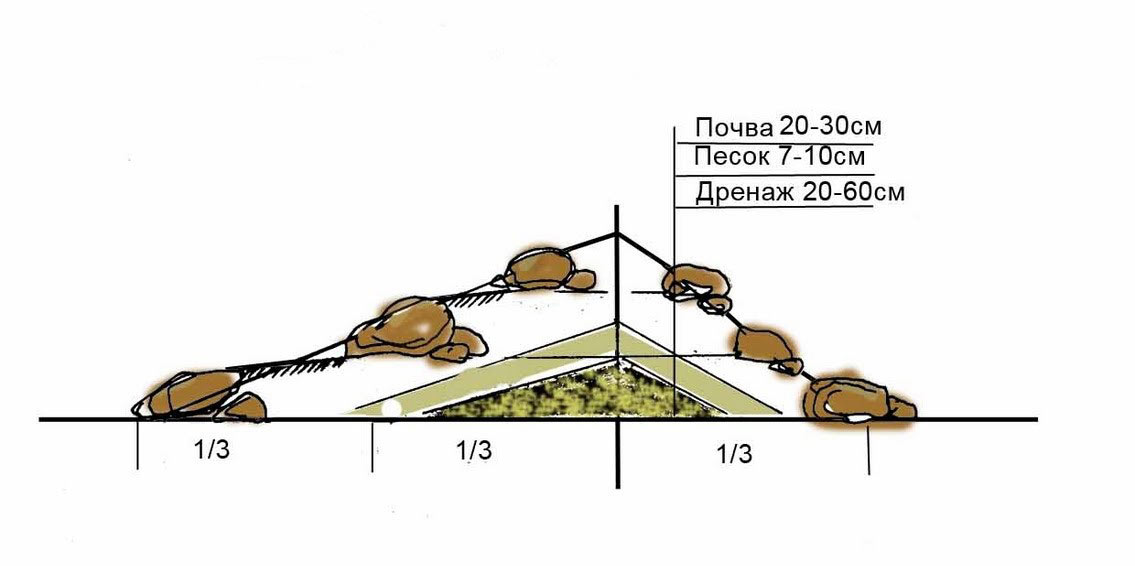 Создание альпинария своими руками