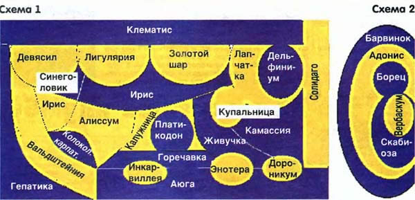 Схемы сине-желтой клумбы Схемы сине-желтой клумбы