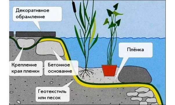 Схема устройства дачного водоема
