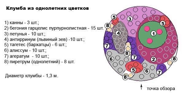 Схема клумбы из однолетних цветов