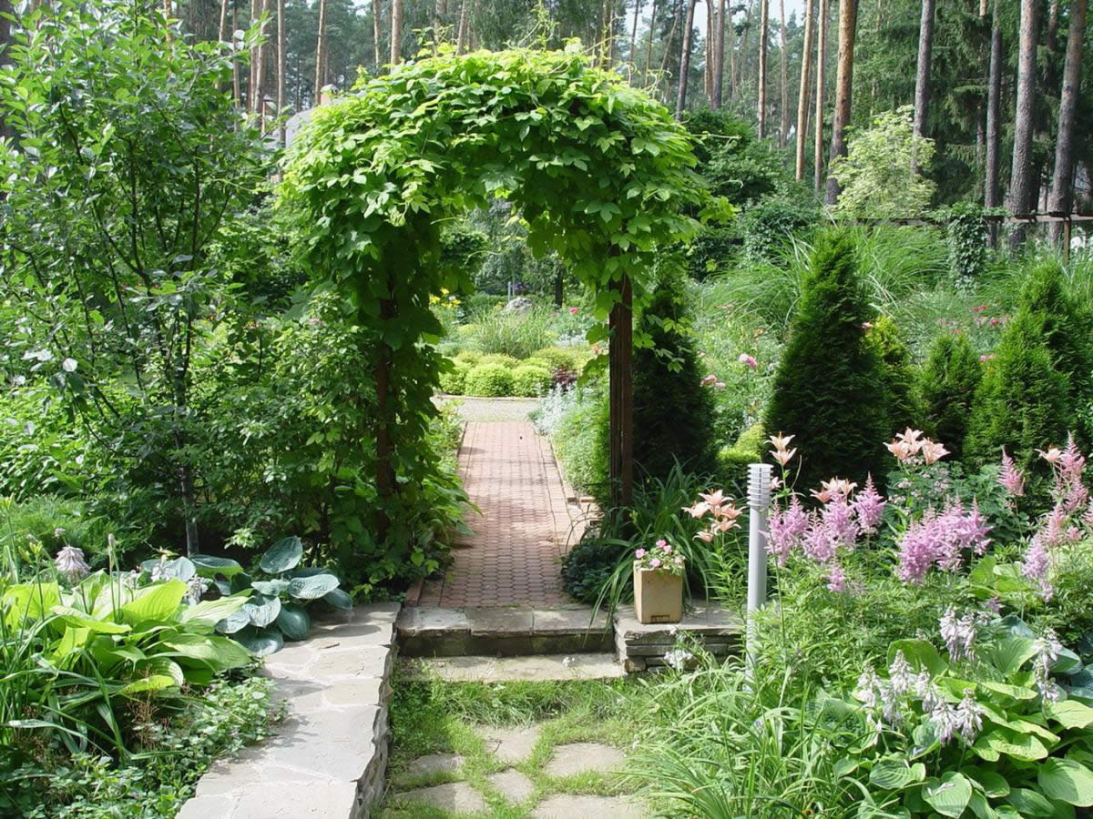 Маленький рай