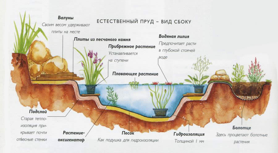Декорирование водоема на дачном участке