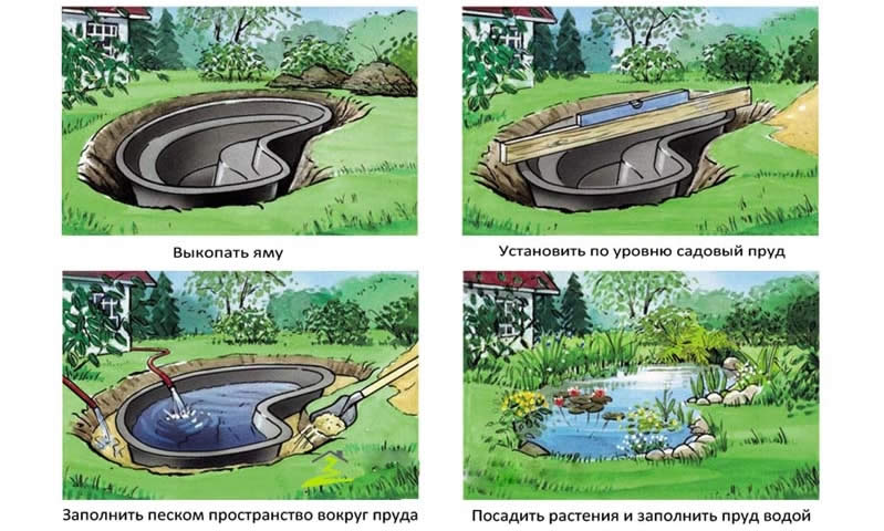 Как оформить пруд на участке?