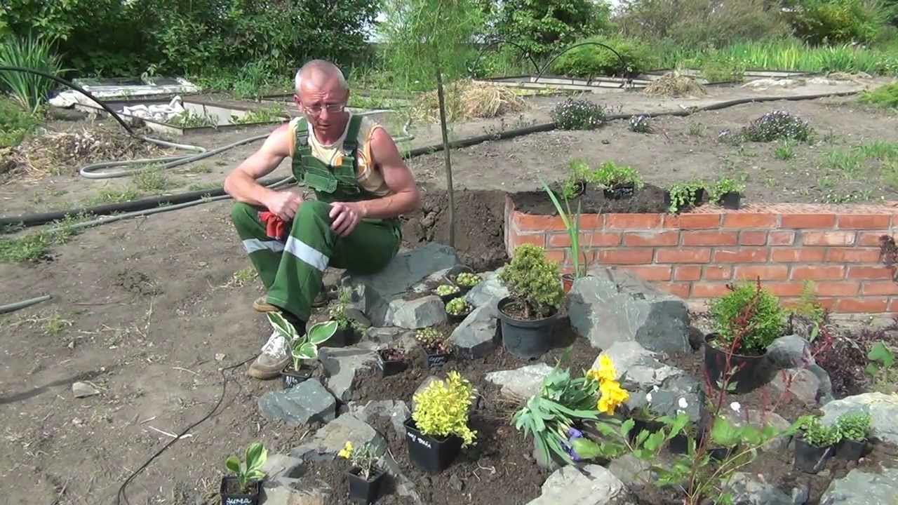 Композиция с растениями и камнями