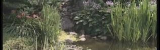 Пруд и водоем своими руками