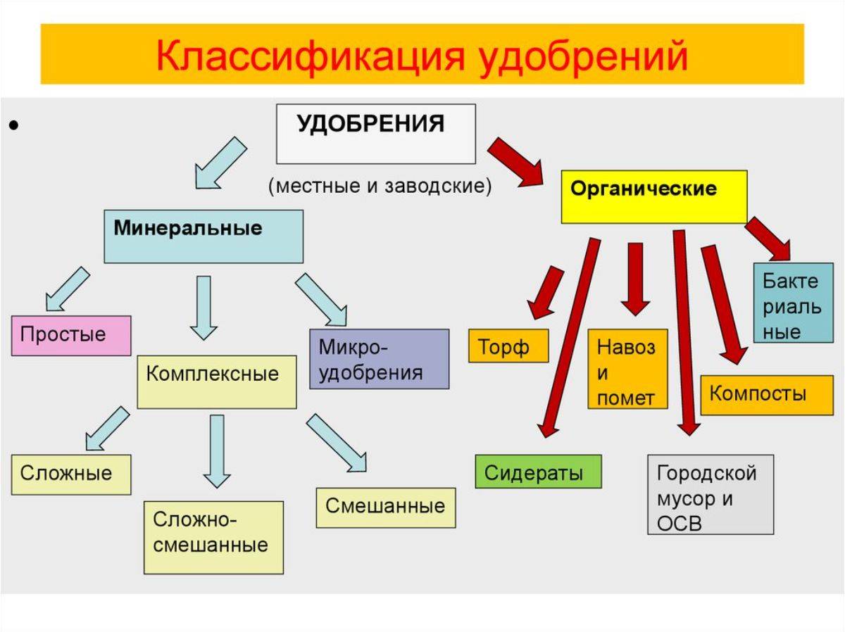 Виды удобрений: советы по выбору и применению в огороде и саде